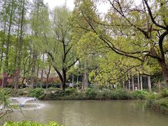 -上海醉白池公园