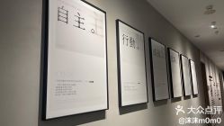 -大树儿童摄影