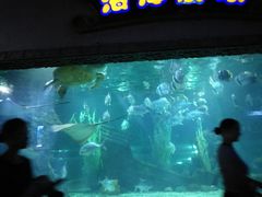 -南昌海洋公园