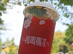 乌梅汁·梅溪源-鸡鸣赐茶(鸡鸣寺路店)