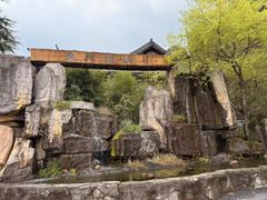 -东天目山风景区