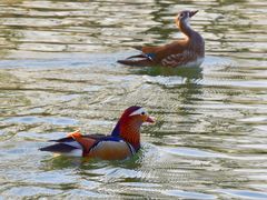 -朝阳公园