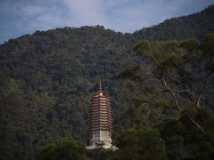 -深圳仙湖植物园