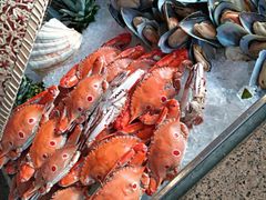 -视界美食自助餐厅·石家庄希尔顿酒店