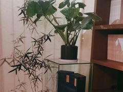 -荷风细雨·中国茶宴(世纪大道店)