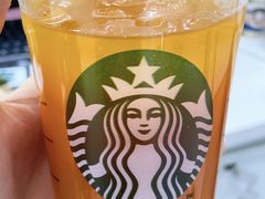 冰摇桃桃乌龙茶-星巴克(北辰西路店)