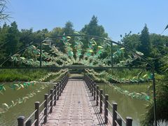 -沙家浜风景区