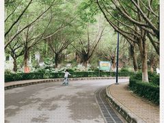 -滴水岩森林公园