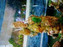 android_upload_pic-楠柏弯休闲山庄(梨花溪店)