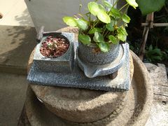 -美味之家·湖景农家乐(太湖东山店)