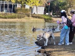 -琅岐红光湖公园