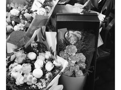 -上海市世外小学