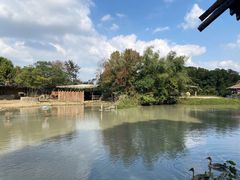 -宁波野生动物园