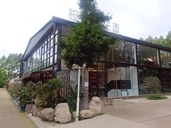 -桉树林A coffee 森林餐厅(三圣乡店)