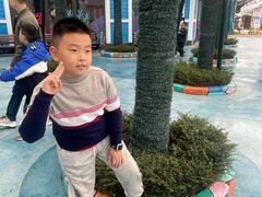 -海合安成都极地海洋公园