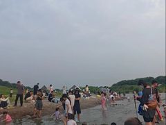 -绿堤公园