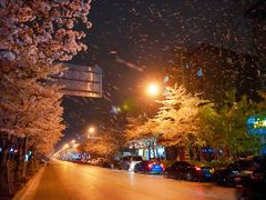 -永乐路-路侧停车场