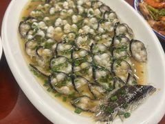 -呼吸森林·生态农庄农家乐私房菜