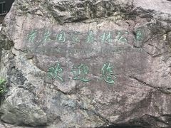 -花岩国家森林公园