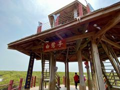 -北海金海湾红树林生态旅游区