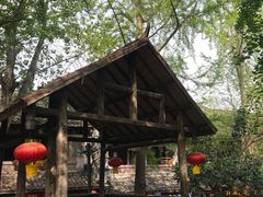 -黄龙溪古镇