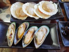 扇贝-丽江庭院之爱在路上(西单店)