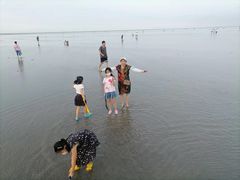 -南汇嘴观海公园