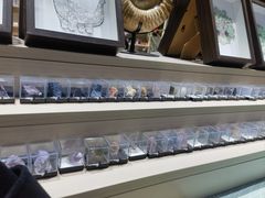 -安徽省地质博物馆