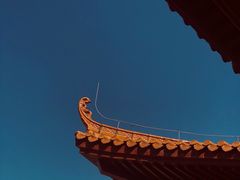 -深圳仙湖植物园