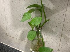 -新航道雅思托福·留学·考研培训(人民广场校区)