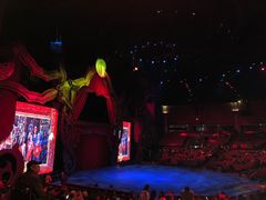 -珠海横琴长隆《卡卡虎奇遇记》