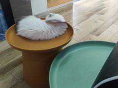 -拜鲁耶动物诊疗中心·宠家动物医院