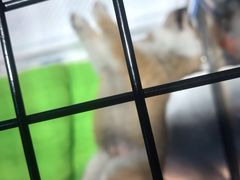 -宠物世家(仲盛世界商城店)
