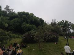 -枫香湖儿童公园