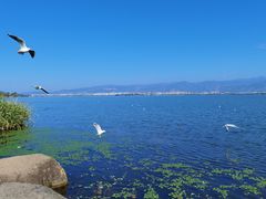 -西昌邛海湾柏樾酒店(原邛海湾柏栎度假酒店)