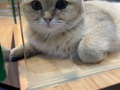 -宠物世家(仲盛世界商城店)