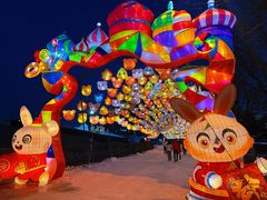 -沈阳奥体冰雪嘉年华