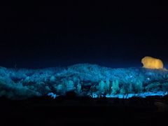 -鼎盛王朝康熙大典实景演出