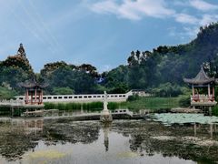 -青龙山国家森林公园