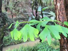 -和顺柏联温泉