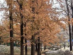-白水寺森林公园