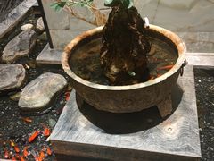 -南堂館川菜文化餐厅(天府店)