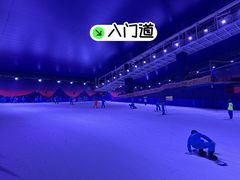 -世界之窗阿尔卑斯冰雪世界