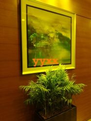 -Yestar杭州艺星医疗美容医院