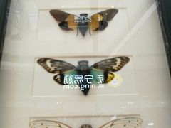 -宁波鄞州万达广场