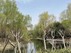 -武汉园博园(武汉自然博物馆)