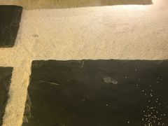 -行者素食(国赫红珊湾店)