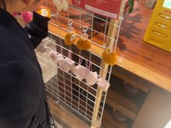 -久宴·天目湖大鱼头(恐龙园店)