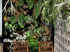 -自由生长植物工作室(深港花卉中心店)