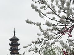 -上海市龙华烈士陵园